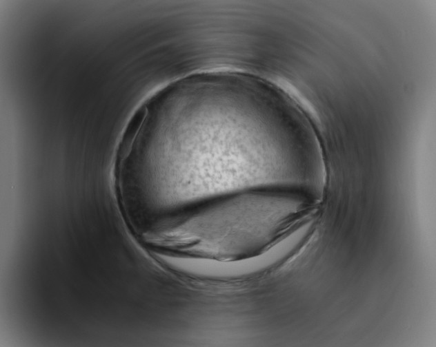 X0000094201189200711161802