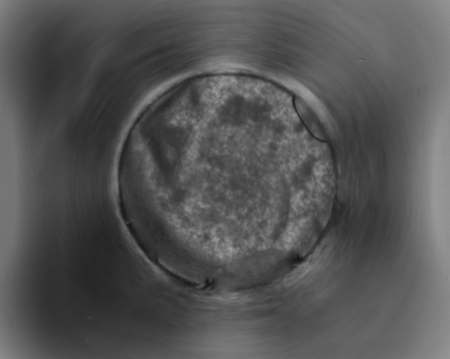 X0000094201191200711161802