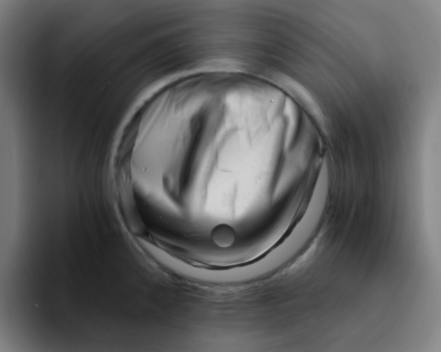 X0000094201192200711161802