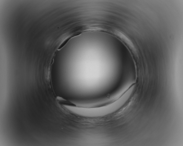 X0000094201193200711161802