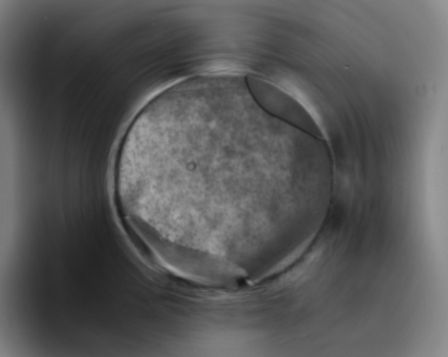 X0000094201195200711161802