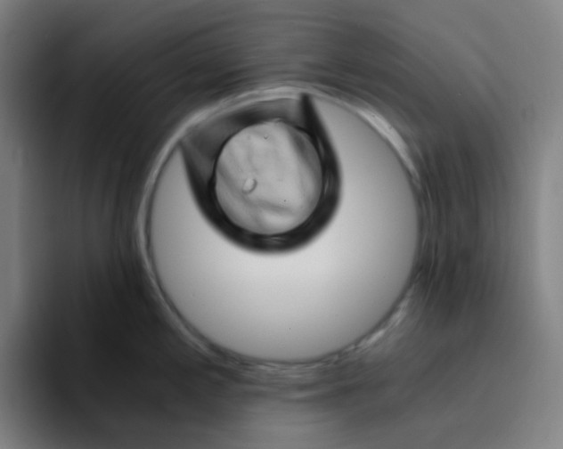 X0000094201197200711161802