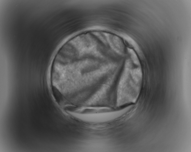 X0000094201199200711161802