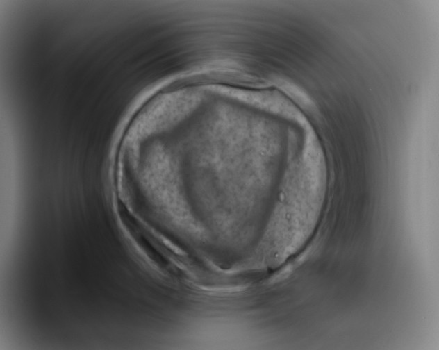 X0000094201200200711161802