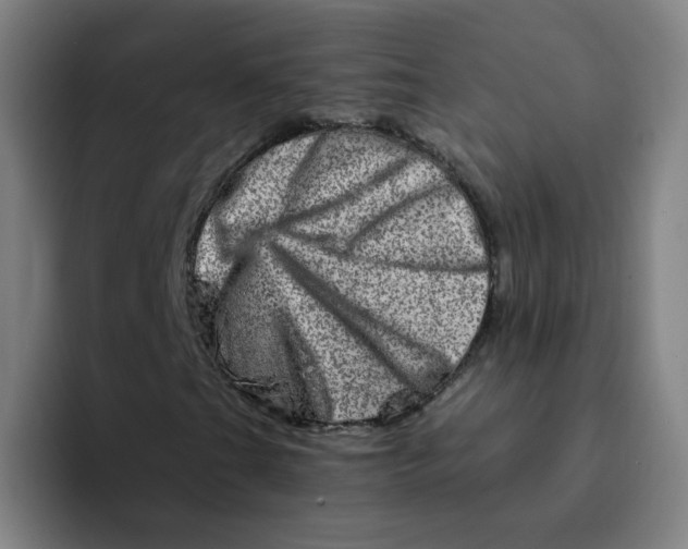 X0000094201201200711161801