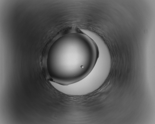 X0000094201202200711161801