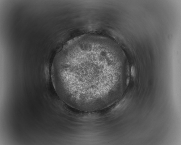 X0000094201203200711161801