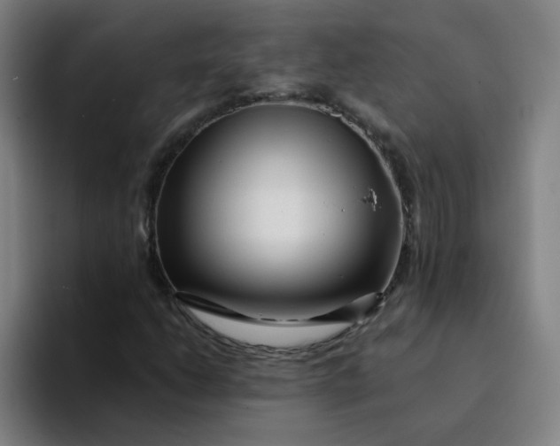 X0000094201206200711161801