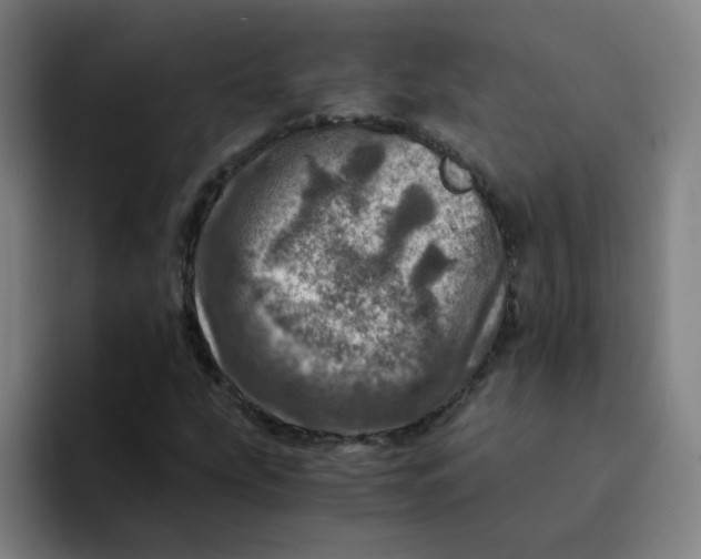 X0000094201207200711161801