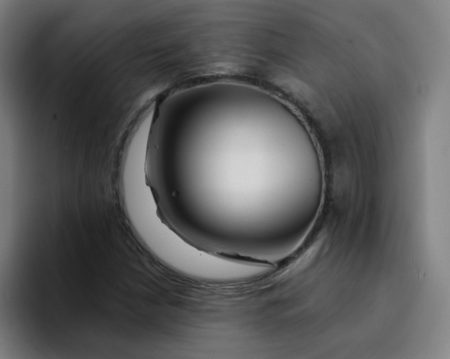 X0000094201210200711161801