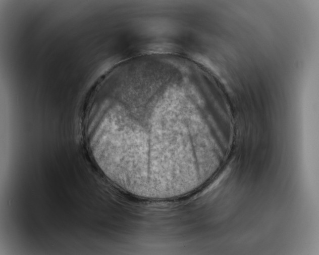 X0000094201211200711161801