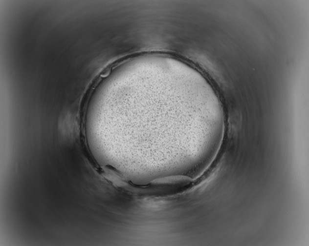 X0000094201212200711161801