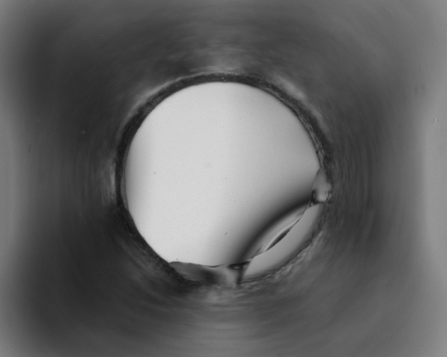 X0000094201214200711161801