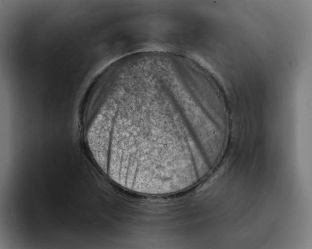 X0000094201215200711161801