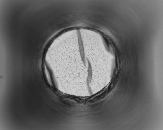 X0000094201216200711161801