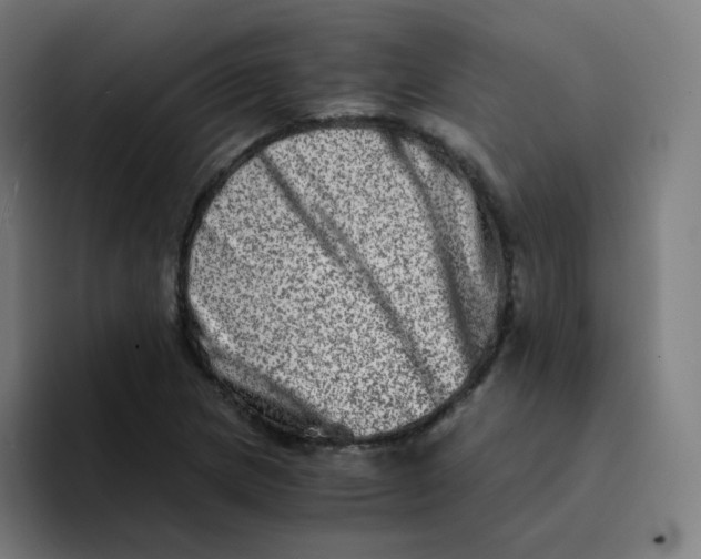 X0000094201217200711161801