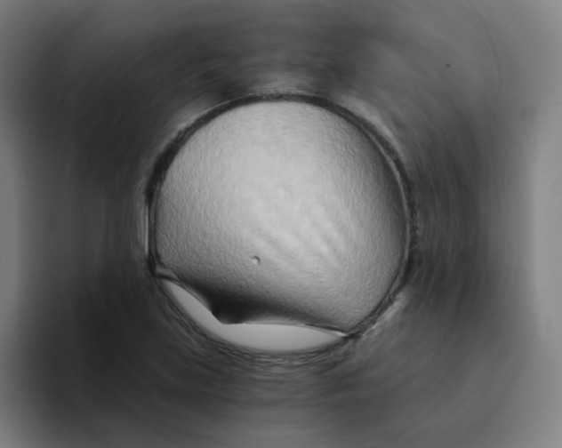 X0000094201219200711161801