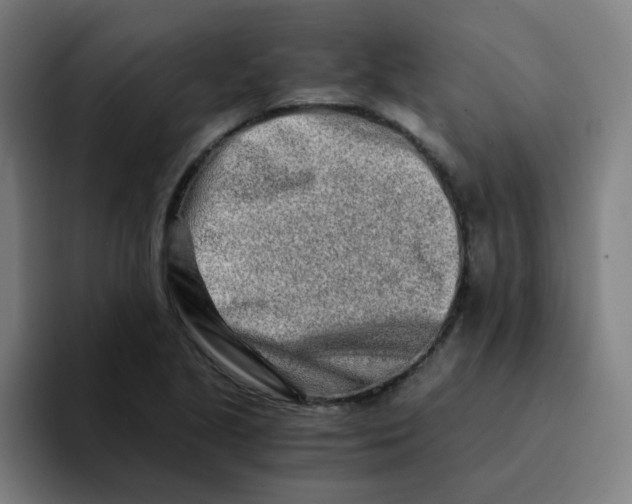 X0000094201221200711161801