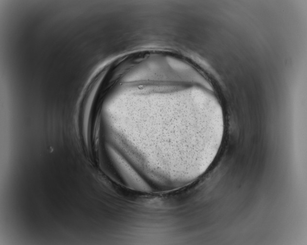 X0000094201222200711161801