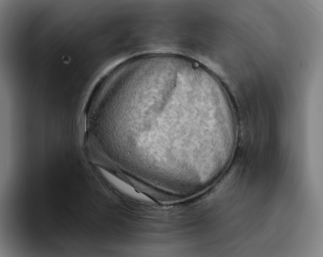 X0000094201223200711161801