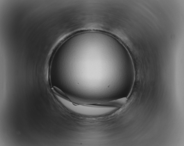 X0000094201224200711161801