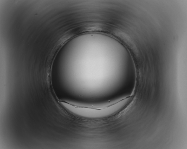 X0000094201225200711161801