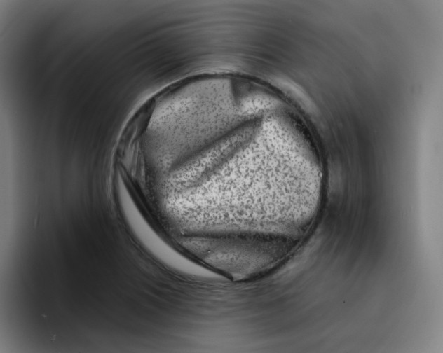 X0000094201226200711161801