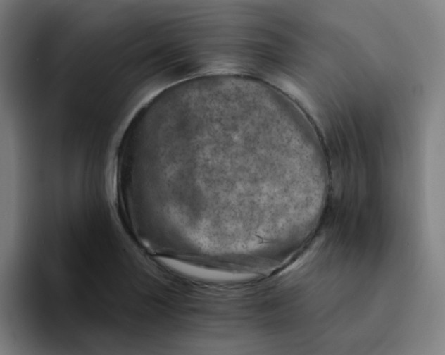 X0000094201227200711161801