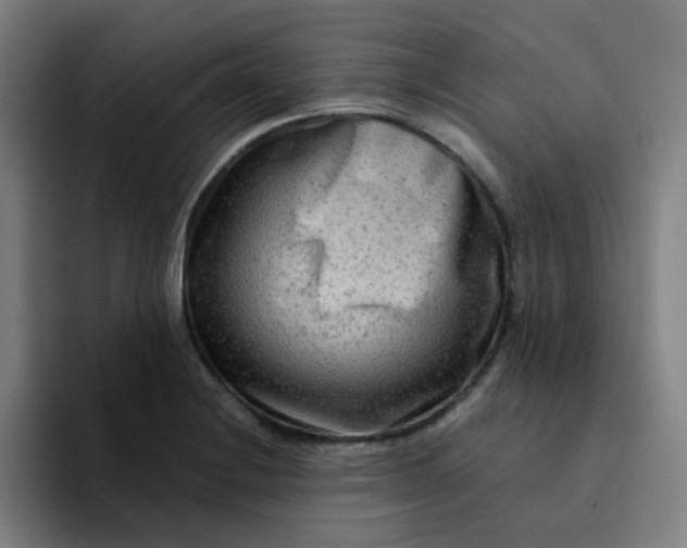 X0000094201228200711161802