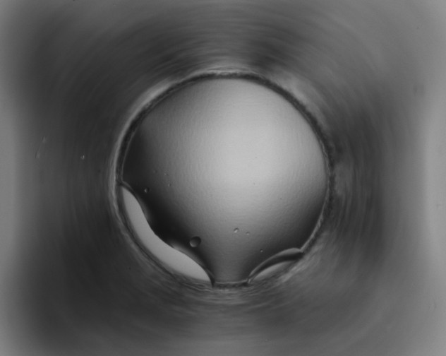 X0000094201229200711161802