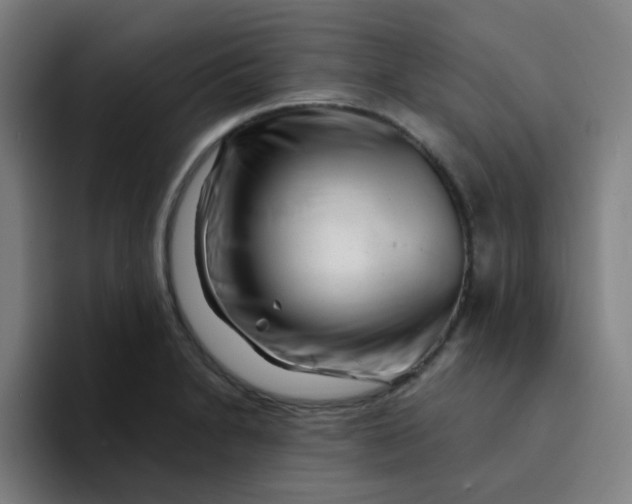 X0000094201230200711161802