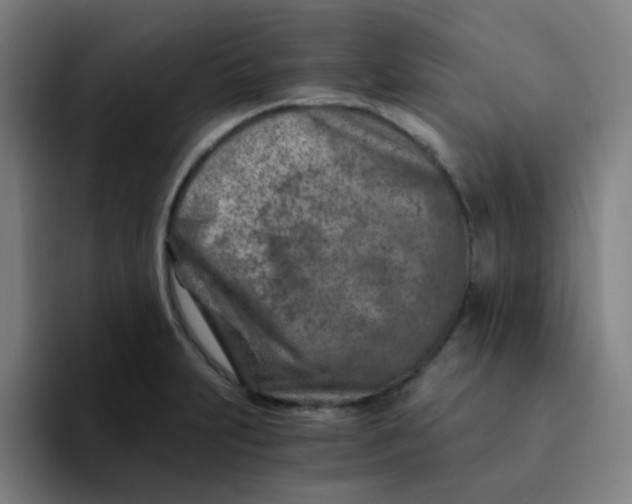 X0000094201231200711161802