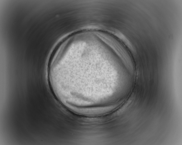 X0000094201232200711161802