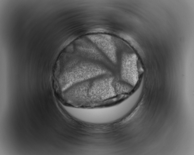 X0000094201233200711161802