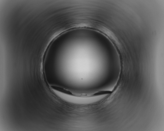 X0000094201234200711161802