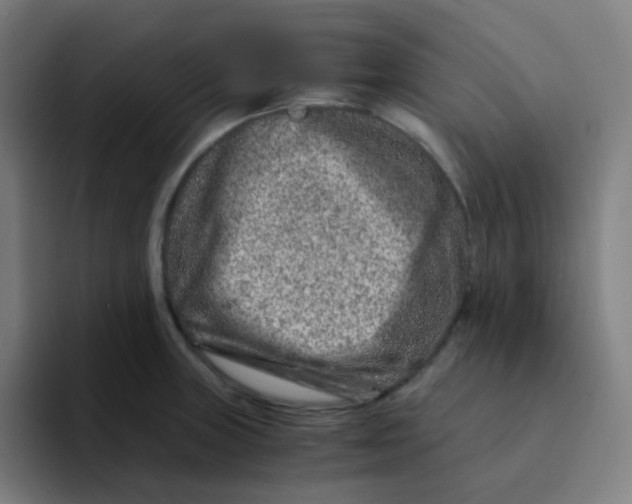 X0000094201235200711161802