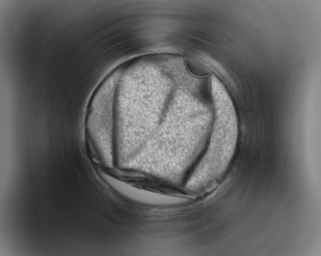 X0000094201236200711161802