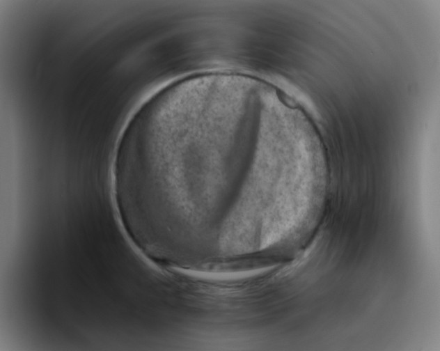 X0000094201239200711161802