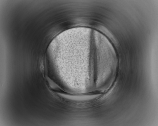 X0000094201241200711161802