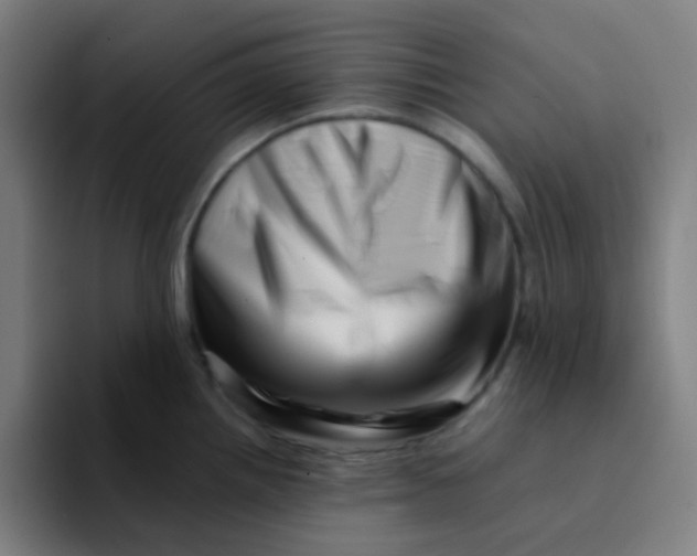 X0000094201242200711161802