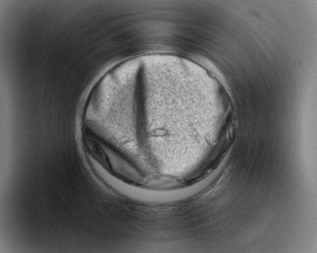 X0000094201243200711161802