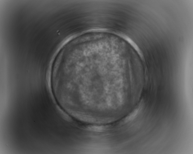 X0000094201245200711161802