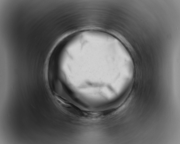 X0000094201246200711161802