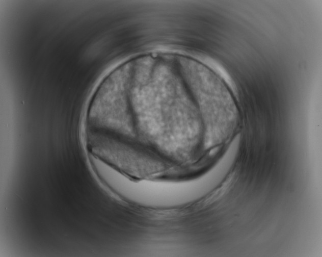 X0000094201247200711161802