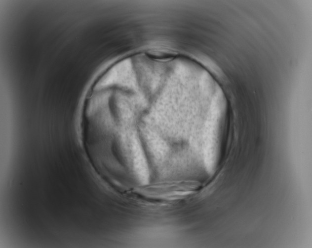 X0000094201248200711161802