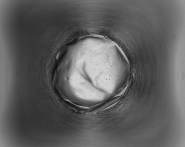 X0000094201249200711161801