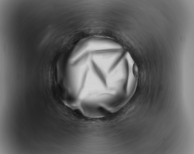 X0000094201250200711161801