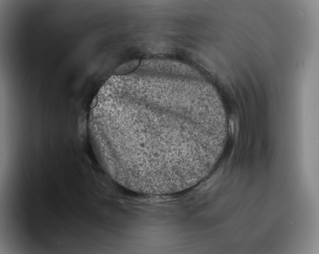 X0000094201251200711161801