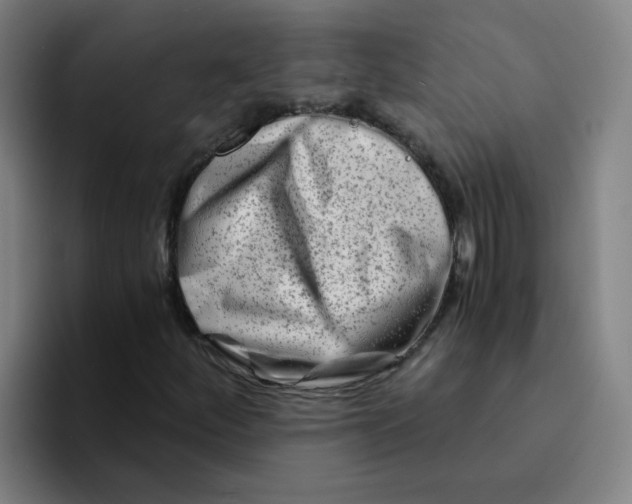 X0000094201252200711161801