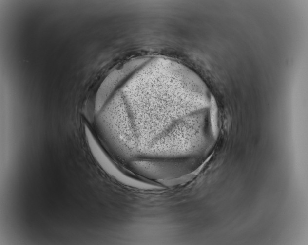 X0000094201253200711161801